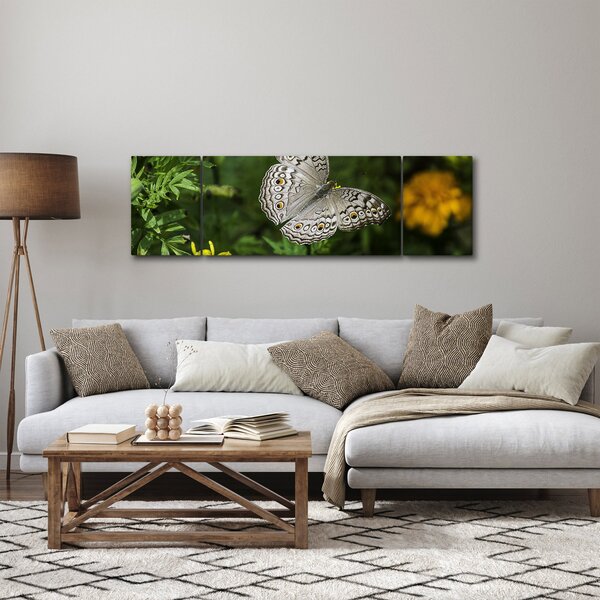 Obraz - bílý motýl (170x50 cm)