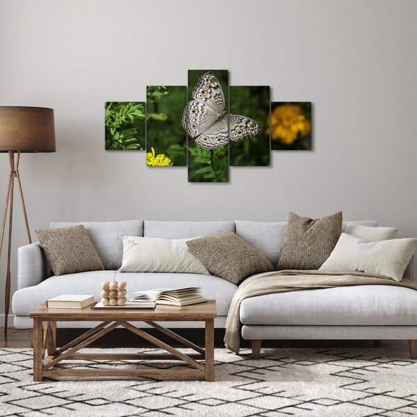 Obraz - bílý motýl (125x70 cm)