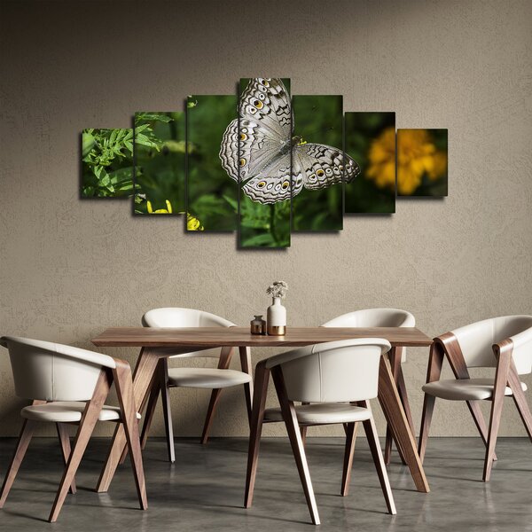 Obraz - bílý motýl (210x100 cm)