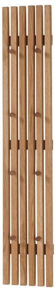 ŠATNÍ PANEL, barvy dubu, dub, 22/120/5 cm - Šatní panely, Online Only