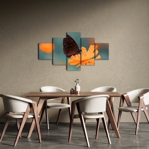 Obraz - motýl na oranžové květině (125x70 cm)