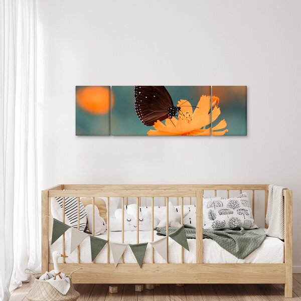 Obraz - motýl na oranžové květině (170x50 cm)