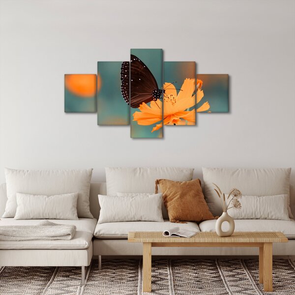 Obraz - motýl na oranžové květině (125x70 cm)