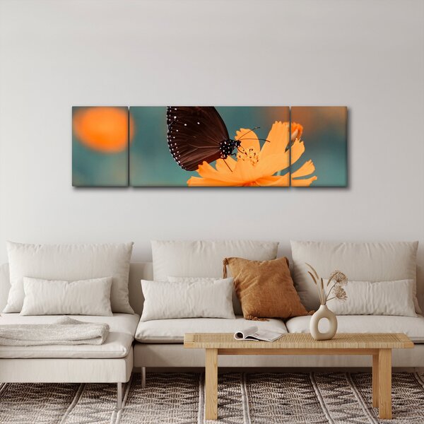 Obraz - motýl na oranžové květině (170x50 cm)