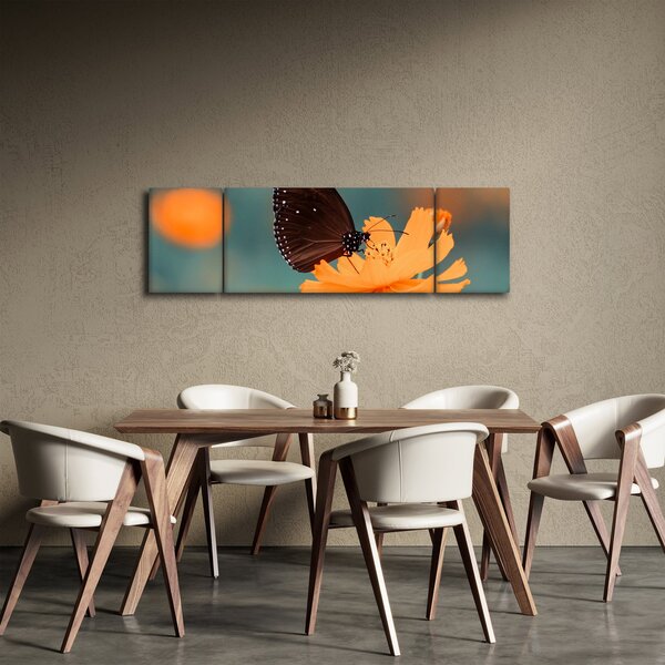Obraz - motýl na oranžové květině (170x50 cm)