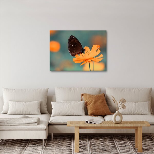 Obraz - motýl na oranžové květině (70x50 cm)