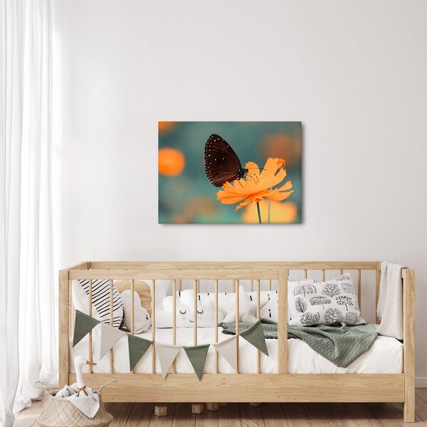 Obraz - motýl na oranžové květině (70x50 cm)