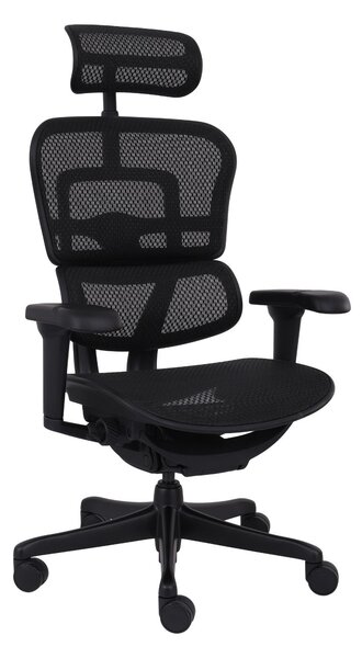 Ergonomické křeslo Ergohuman 2 Ultra BS Black