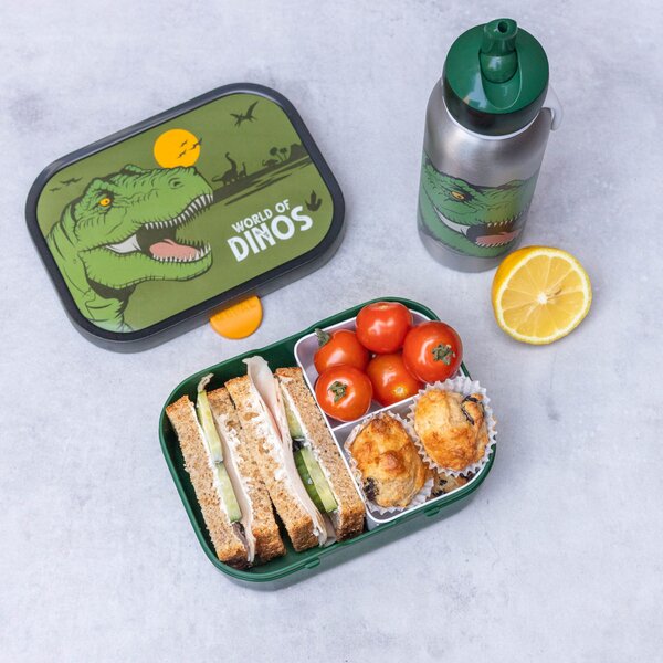 Dětská nerezová lahev, 350ml, Mepal, dinosaurus