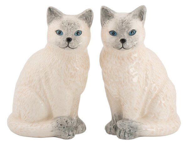 Slánka a pepřenka Ragdoll Cat – Sass & Belle