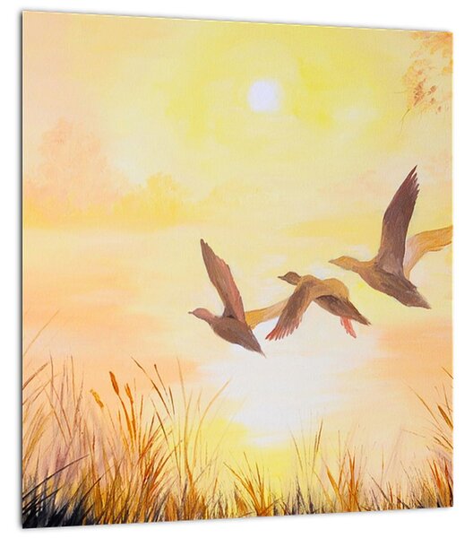 Obraz - Jeřábi při západu slunce (30x30 cm)