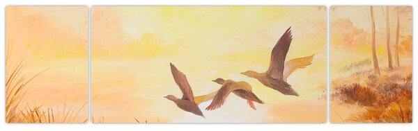 Obraz - Jeřábi při západu slunce (170x50 cm)
