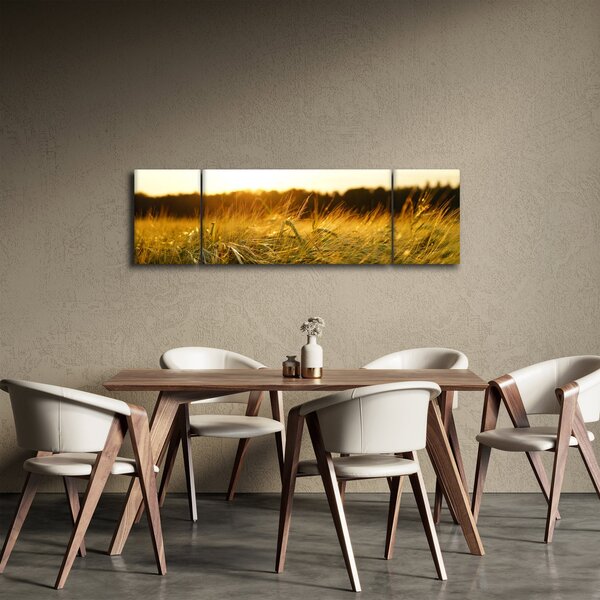 Obraz orosené trávy (170x50 cm)