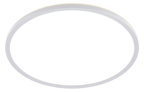 STROPNÍ LED SVÍTIDLO, 42/2,9 cm Novel - Stropní svítidla