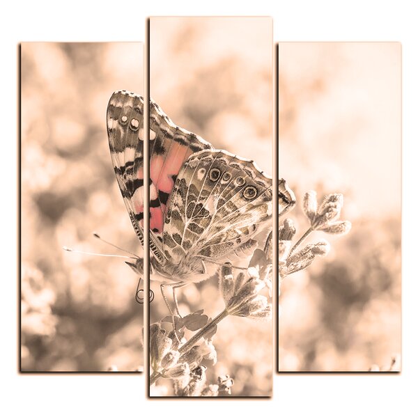 Obraz na plátně - Motýl na levandule - čtverec 3221FC (75x75 cm)