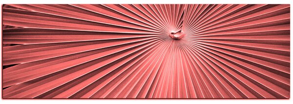 Obraz na plátně - Tropické listy - panoráma 5205KA (105x35 cm)