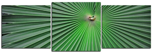 Obraz na plátně - Tropické listy - panoráma 5205D (90x30 cm)