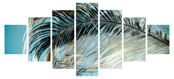 Obraz pírka (210x100 cm)