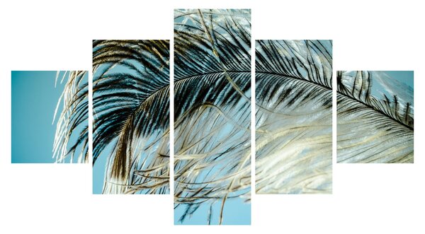 Obraz pírka (125x70 cm)