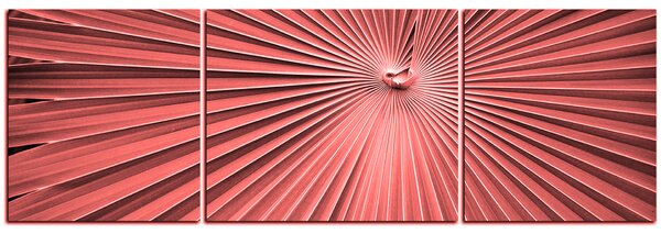 Obraz na plátně - Tropické listy - panoráma 5205KC (90x30 cm)