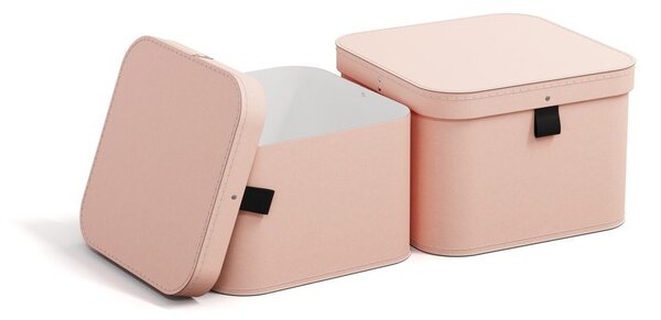 Růžové kartonové úložné boxy v sadě 2 ks s víkem 28,5x28,5x19,5 cm Ludvig Paper Laminate – Bigso