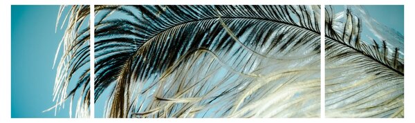 Obraz pírka (170x50 cm)