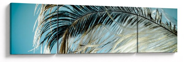 Obraz pírka (170x50 cm)
