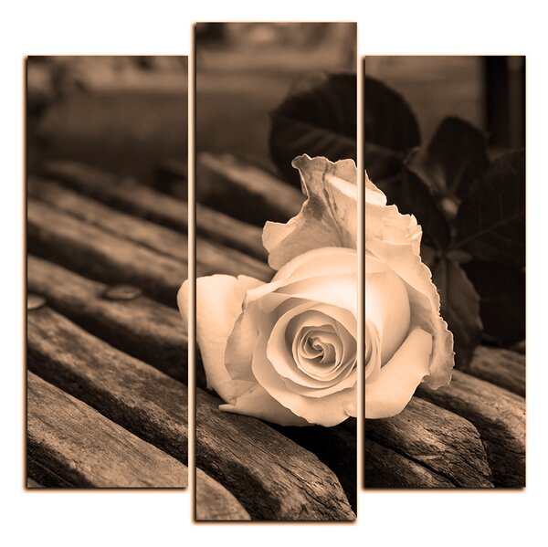 Obraz na plátně - Bílá růže na lavici - čtverec 3224FC (75x75 cm)