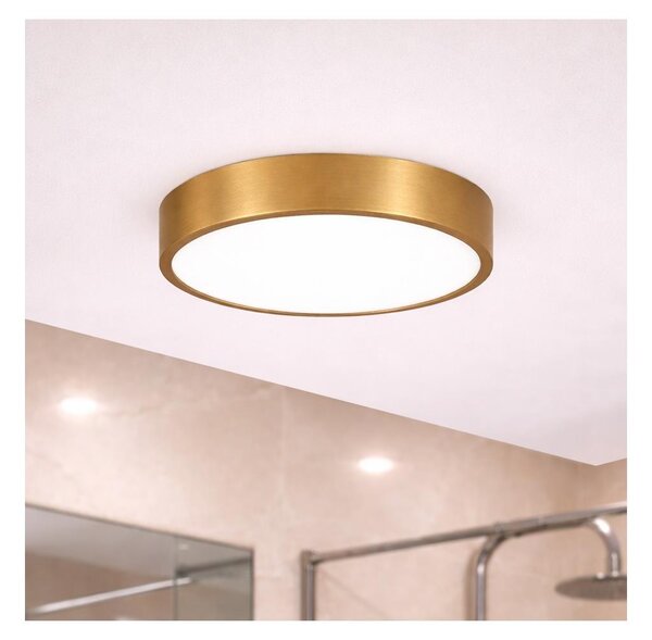 Brilagi - LED Koupelnové stropní svítidlo POOL LED/24W/230V pr. 30 cm IP54 bronz