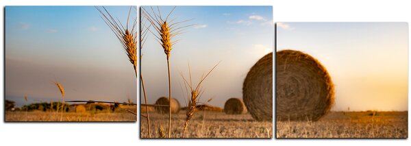 Obraz na plátně - Stohy sena v poli - panoráma 5211E (90x30 cm)