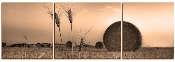 Obraz na plátně - Stohy sena v poli - panoráma 5211FC (90x30 cm)