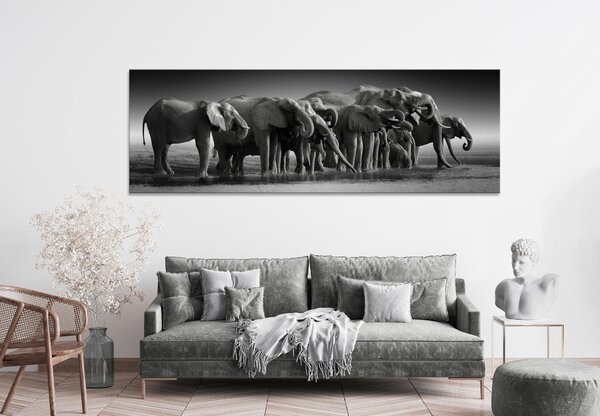 MALBA NA PLÁTNĚ, zvířata, 180/60 cm Euroart - Obrazy na plátně