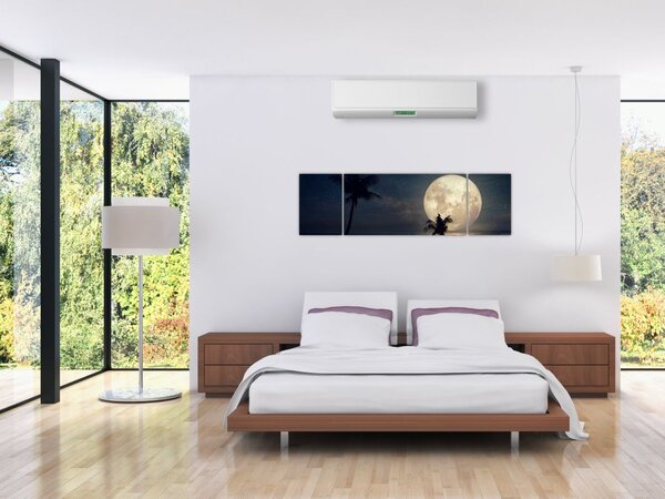 Obraz - Pláž za úplňku (170x50 cm)