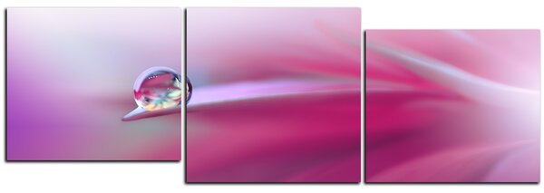 Obraz na plátně - Krásné květinové pozadí - panoráma 5215E (90x30 cm)