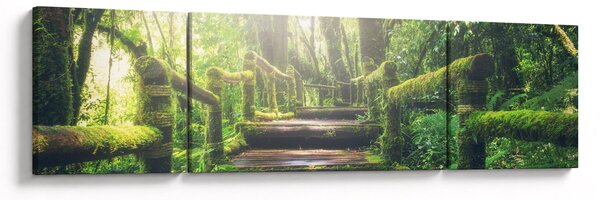 Obraz - dřevěné schody v lese (170x50 cm)