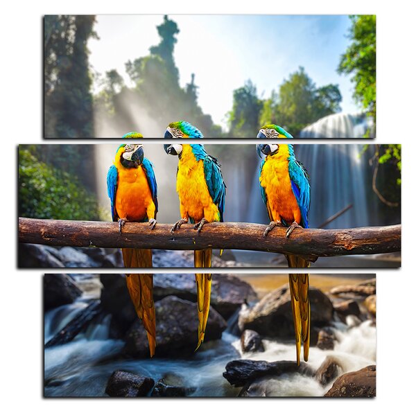 Obraz na plátně - Modro žluté Macaw - čtverec 3232D (75x75 cm)