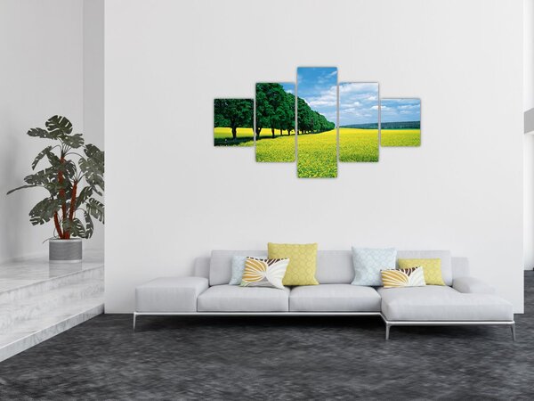 Obraz pole s alejí (125x70 cm)