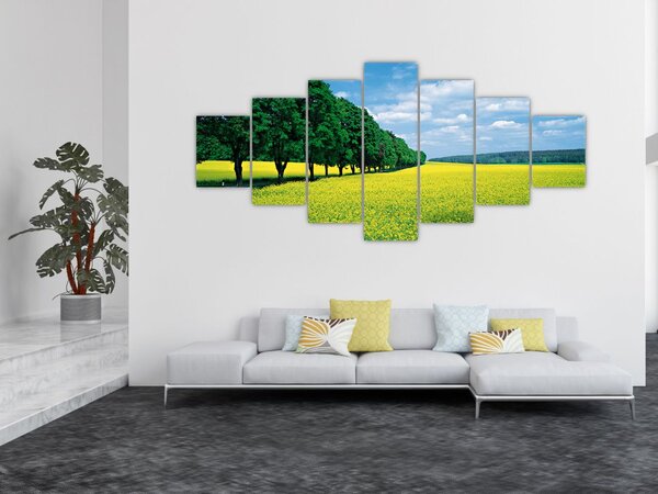 Obraz pole s alejí (210x100 cm)