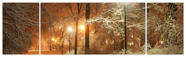 Obraz - Zasněžený park (170x50 cm)