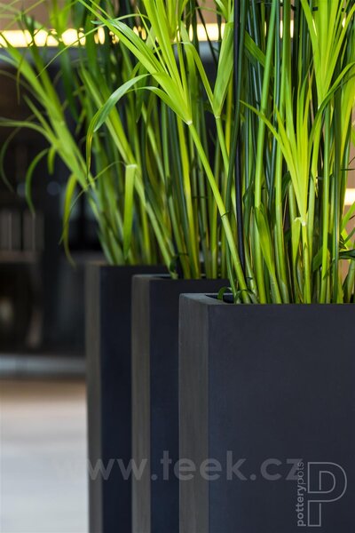 Pottery Pots Venkovní květináč obdélníkový Yenn S, Black (barva černá), kolekce Natural, kompozit Fiberstone, d 25 cm x š 25 cm x v 100 cm, objem cca 62 l
