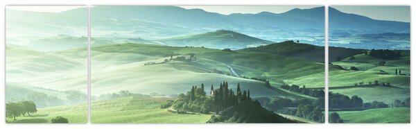 Obraz - Toskánsko, Itálie (170x50 cm)