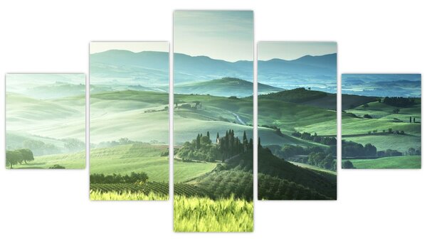 Obraz - Toskánsko, Itálie (125x70 cm)