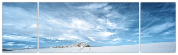 Obraz pole (170x50 cm)