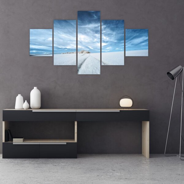 Obraz pole (125x70 cm)