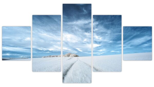 Obraz pole (125x70 cm)