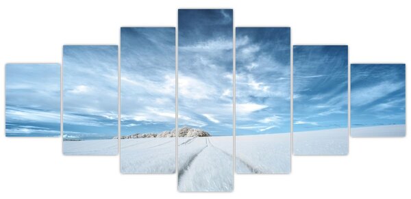 Obraz pole (210x100 cm)