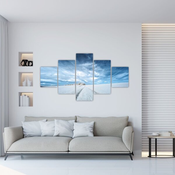 Obraz pole (125x70 cm)