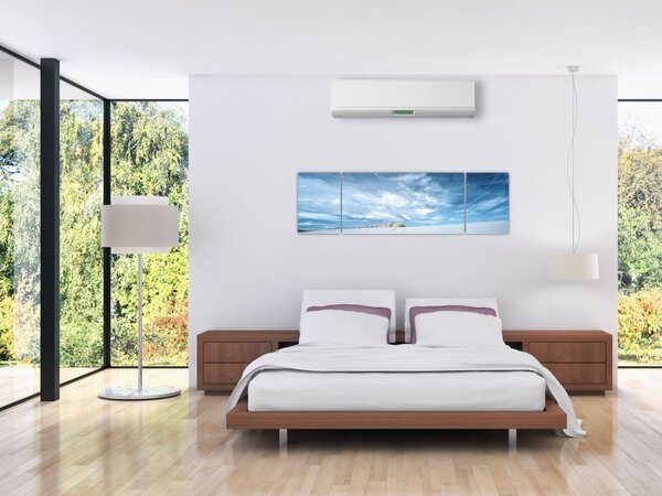 Obraz pole (170x50 cm)