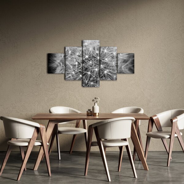 Obraz šedé pampelišky (125x70 cm)