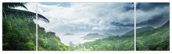 Obraz - Seychelská jungle (170x50 cm)